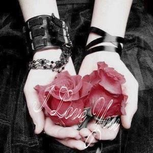 Meet your Posher, Jess